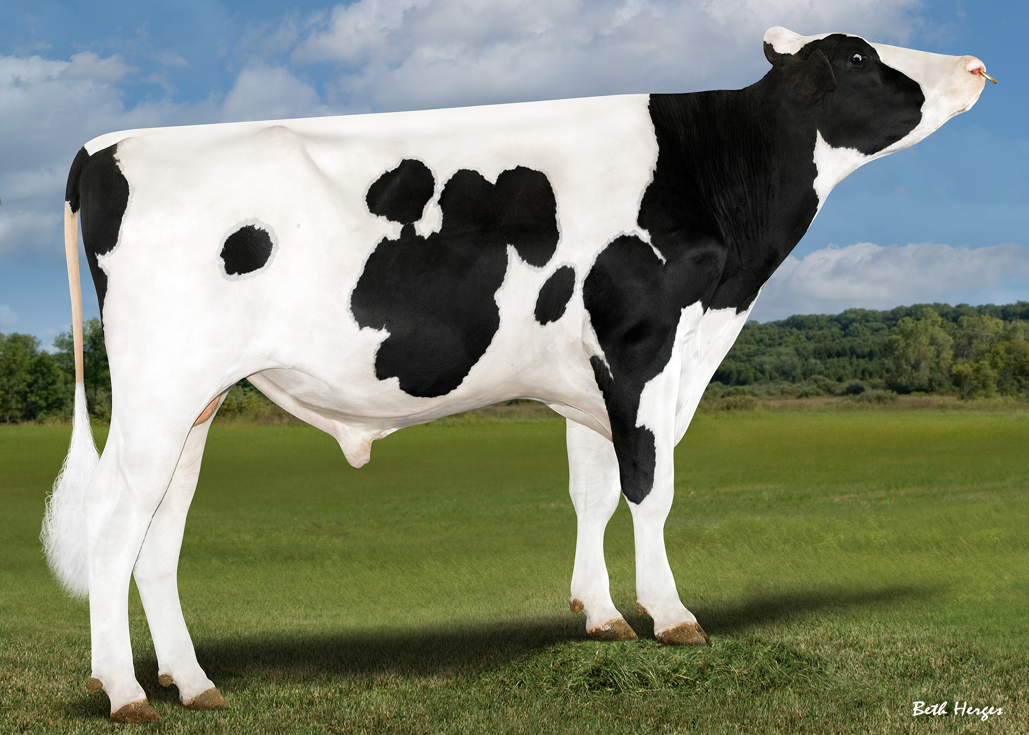 Dam Robo now VG-88 with EX-MS