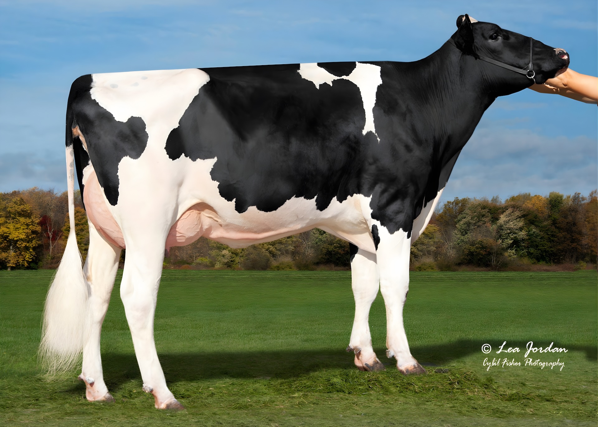 Truckstop – Phoenix x Holysmokes