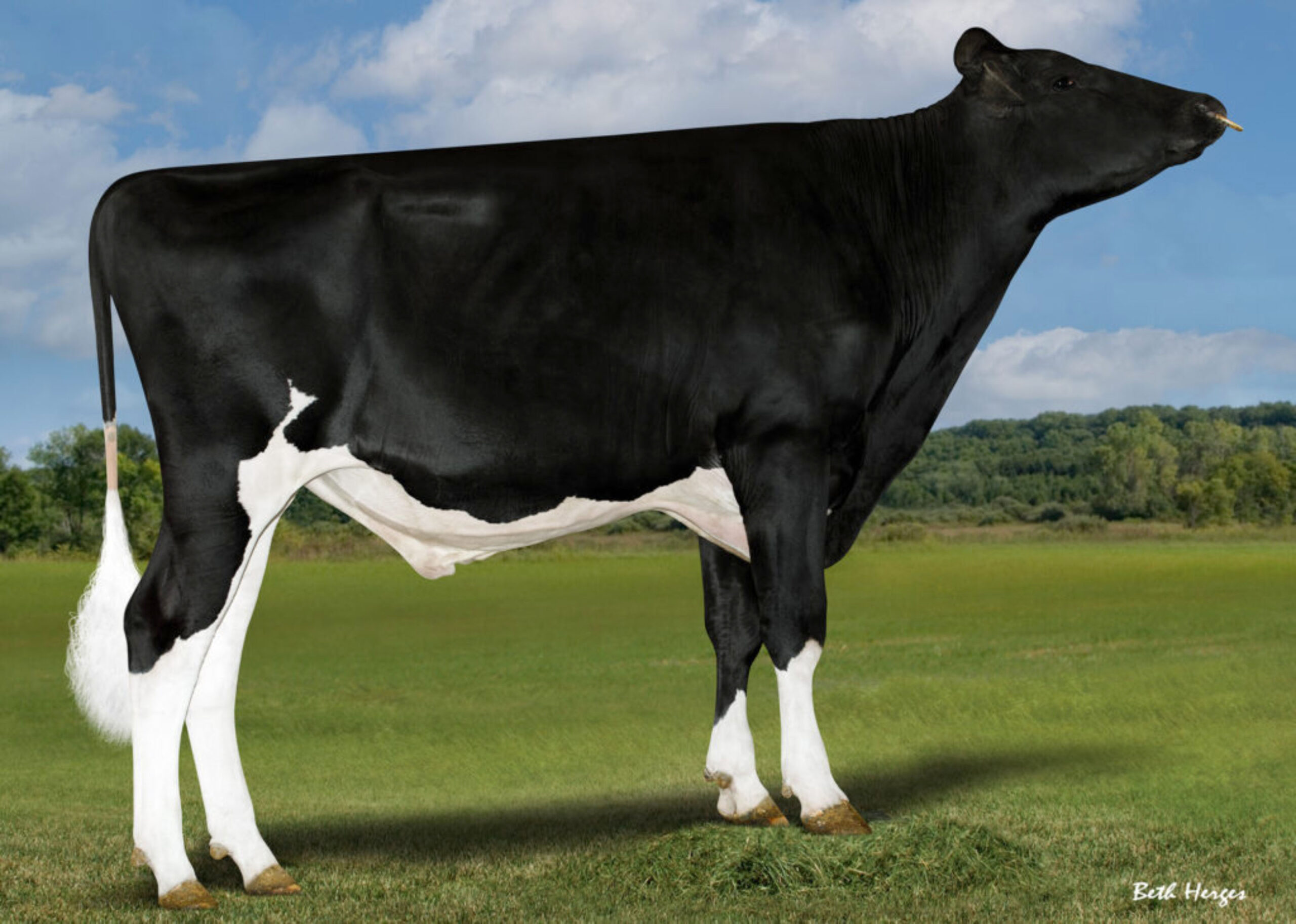 Sedona – Phoenix x Deluxe